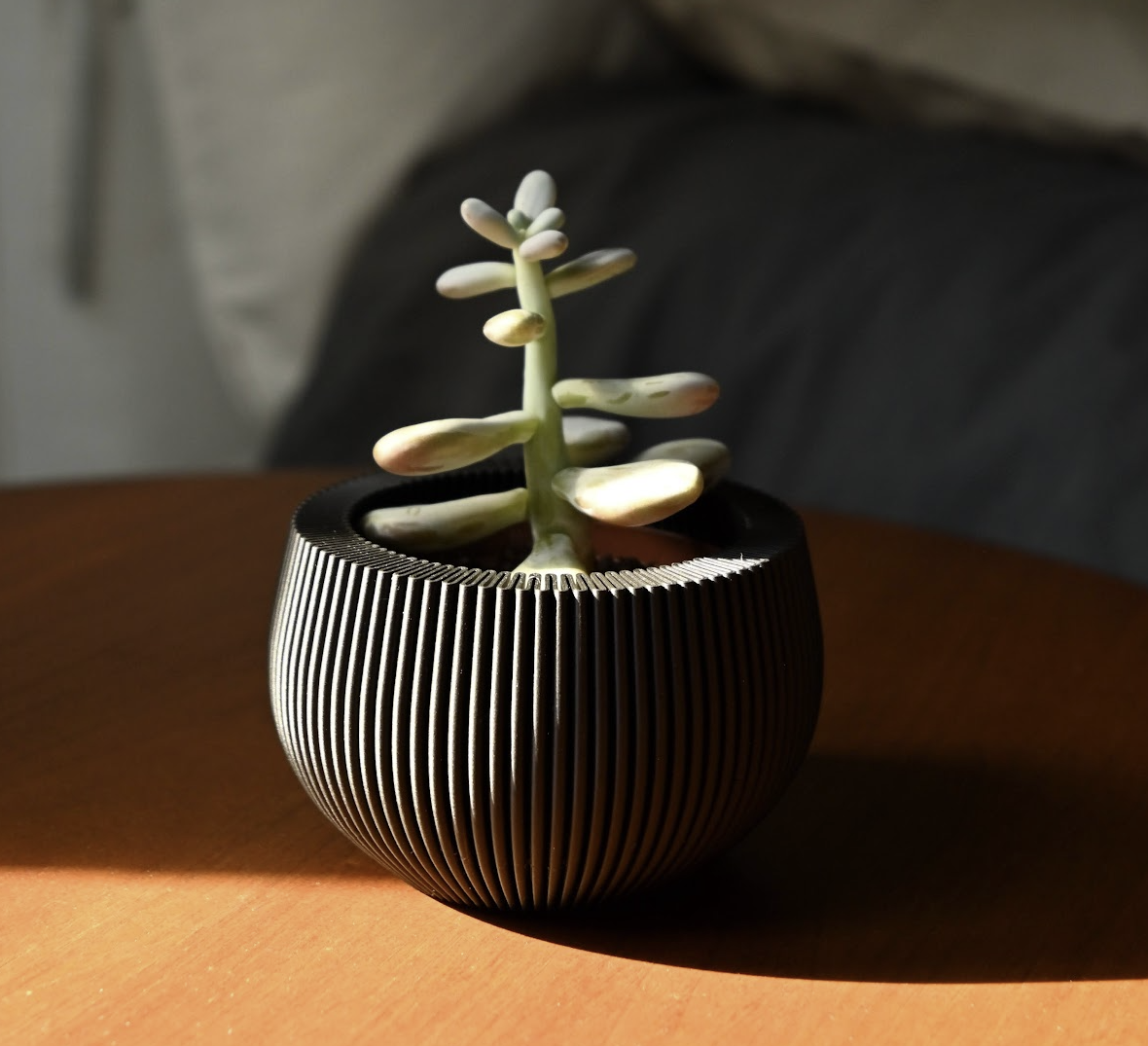 Black ribbed planter in warm light